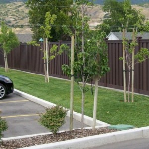 Trex Seclusions Privacy Fence Woodland Brown
