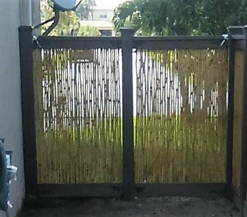 Bamboo used as pickets for a fence