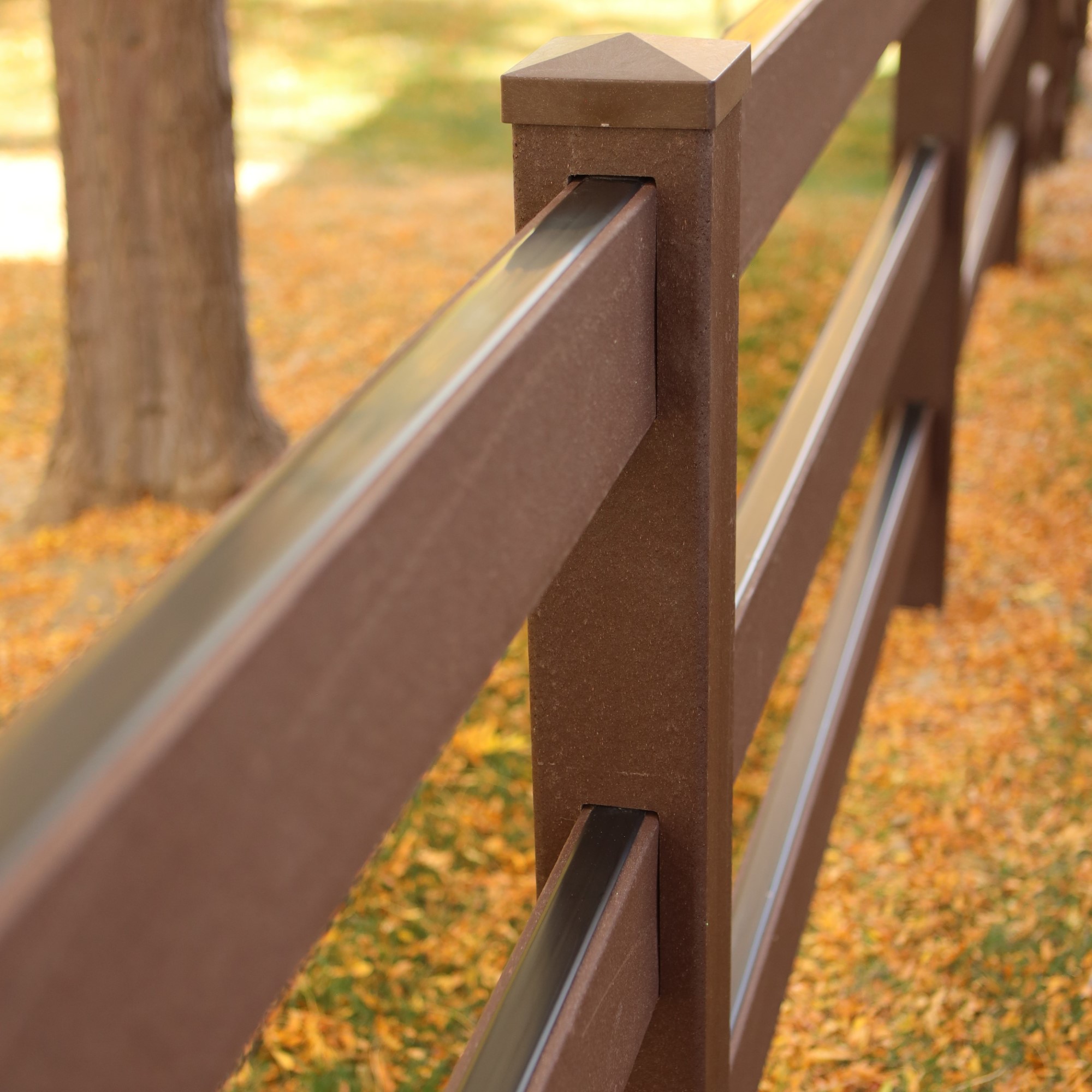Shenandoah in Woodland Brown